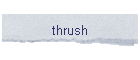thrush