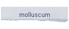 molluscum